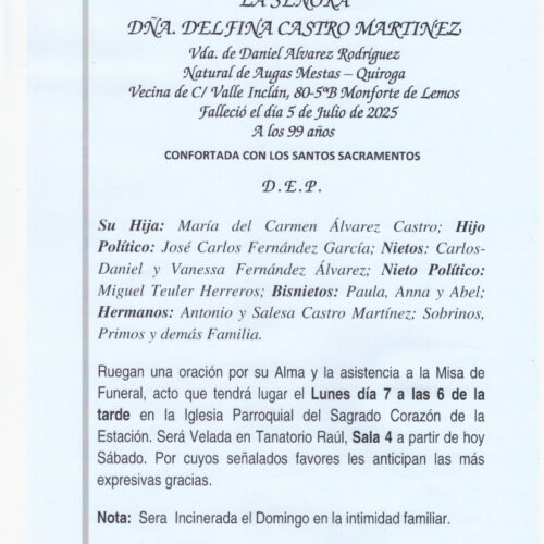 LA SEÑORA DOÑA DELFINA CASTRO MARTINEZ