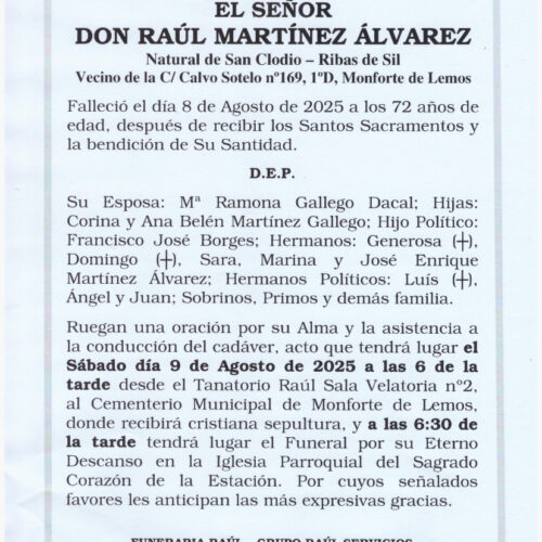 EL SEÑOR DON RAÚL MARTÍNEZ ÁLVAREZ